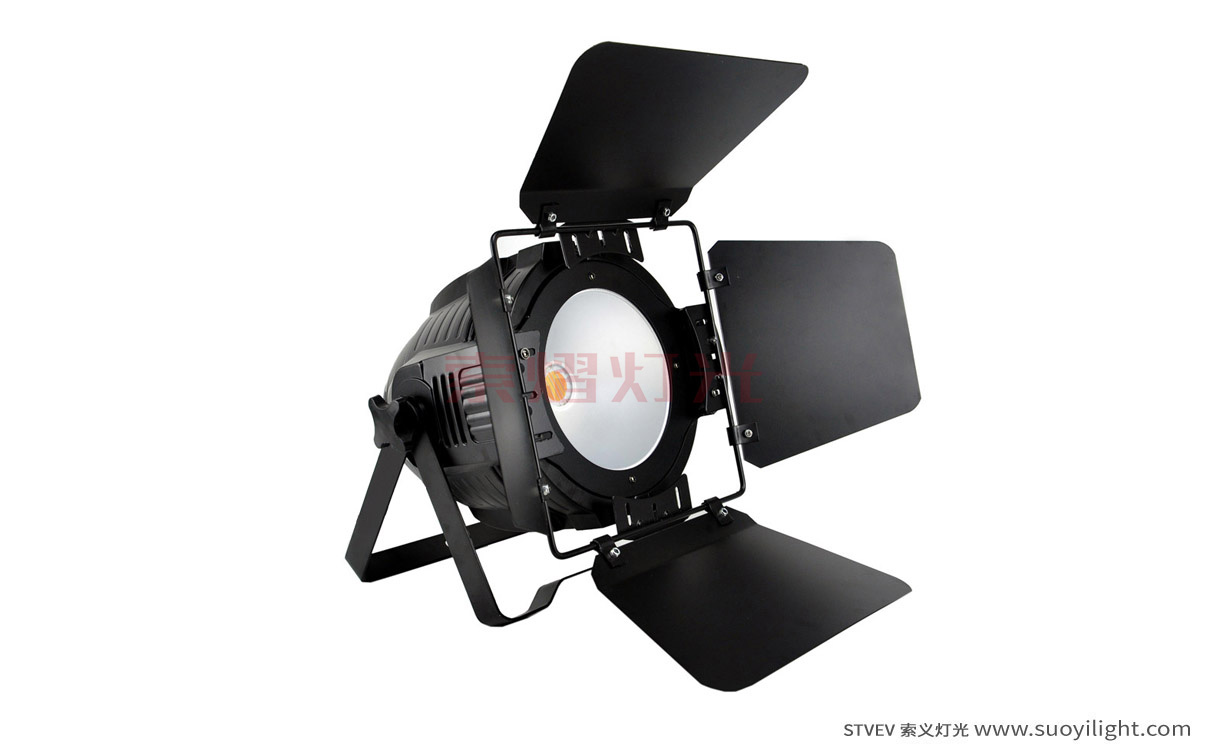 New-Zealand200W COB LED Par Light