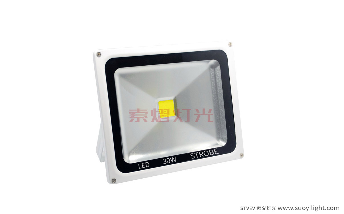New-Zealand30W LED Strobe Light