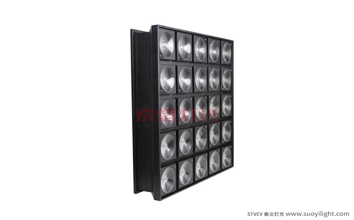 New-Zealand25 Head LED Matrix Light