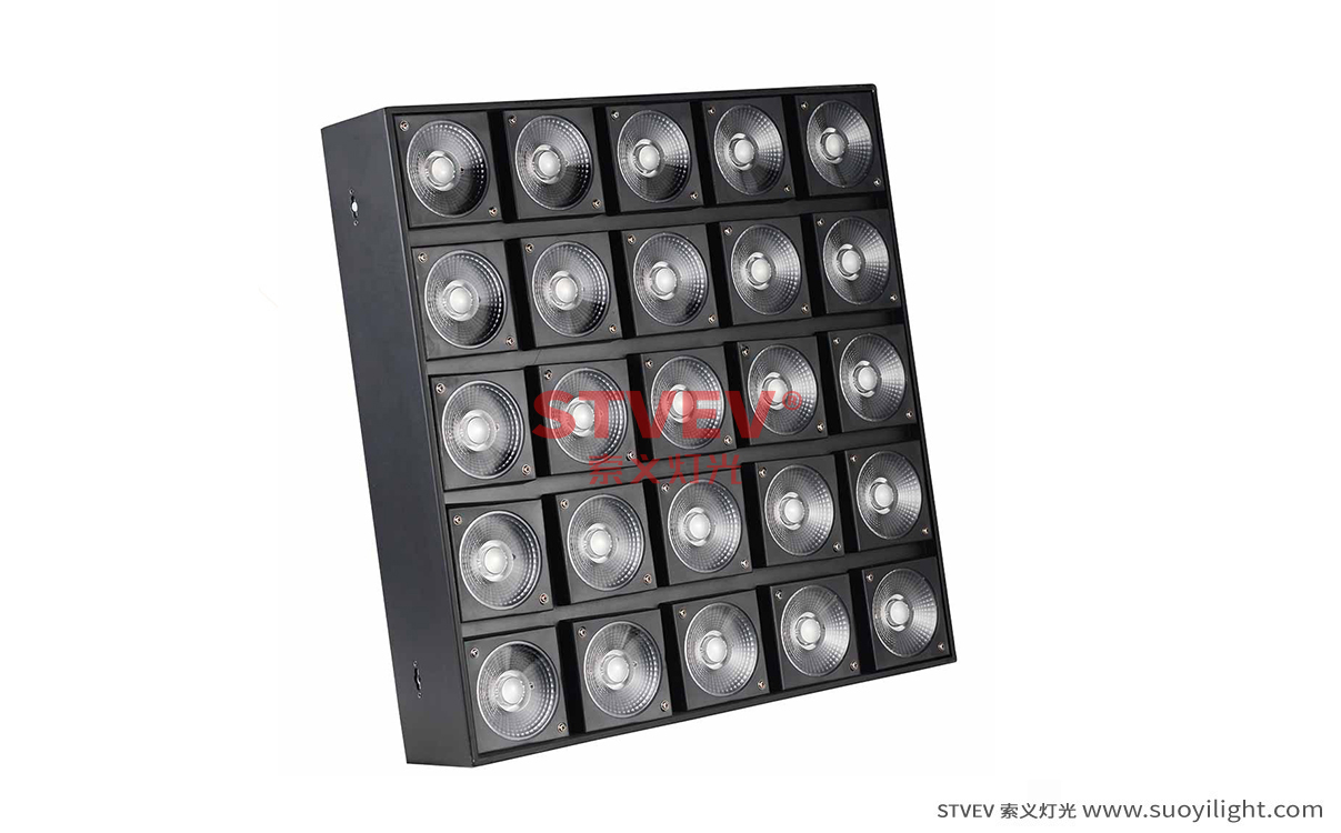 New-Zealand25 Head LED Matrix Light