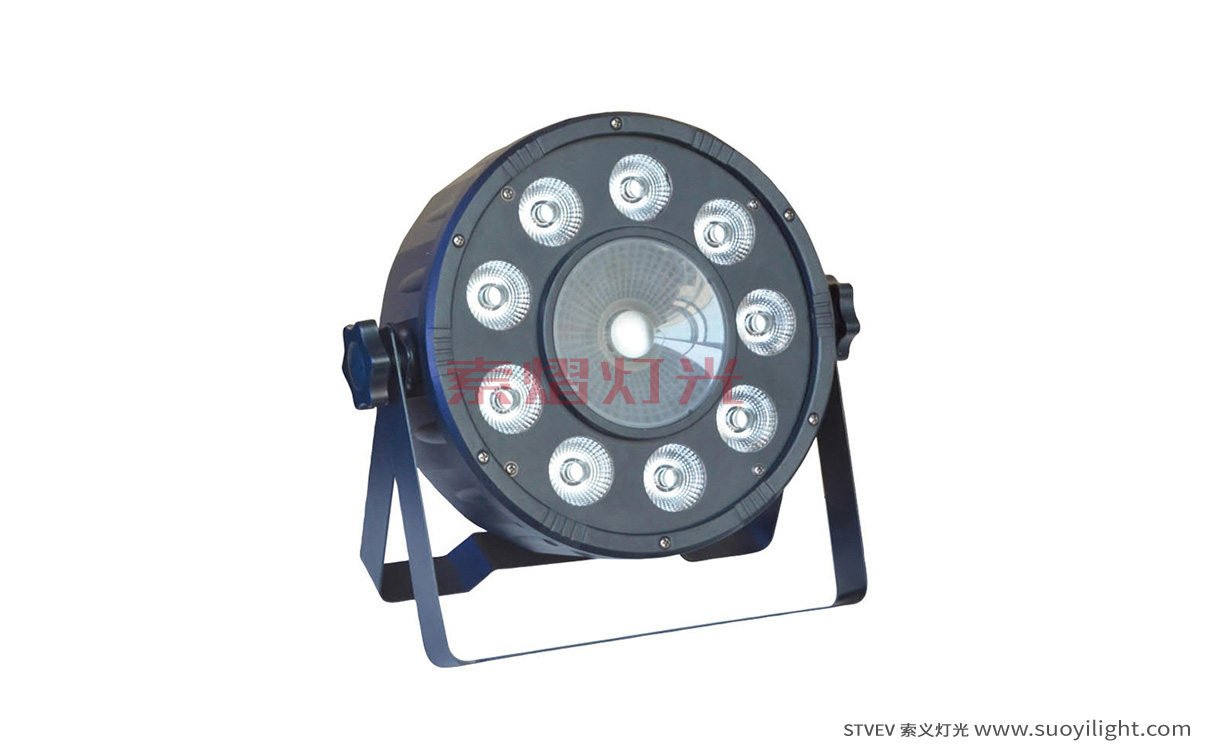 New-Zealand9+1 LED Plastic Par Light
