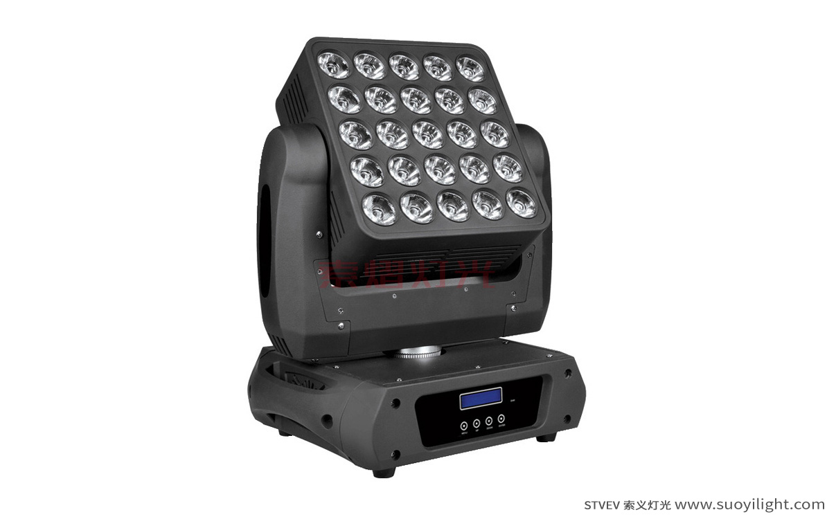 New-Zealand25pcs Matrix LED Light