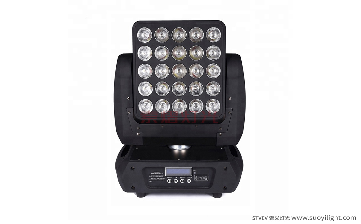 New-Zealand25pcs Matrix LED Light