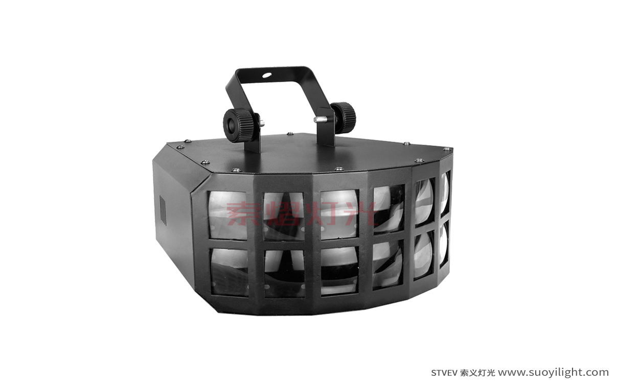 New-ZealandLED Double Butterfly Light