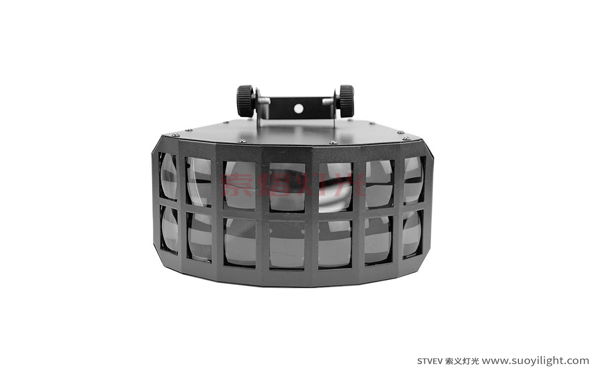 New-ZealandLED Double Butterfly Light