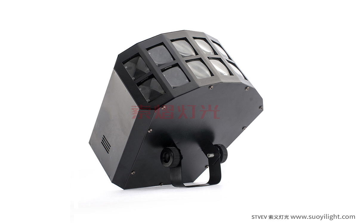 New-ZealandLED Double Butterfly Light