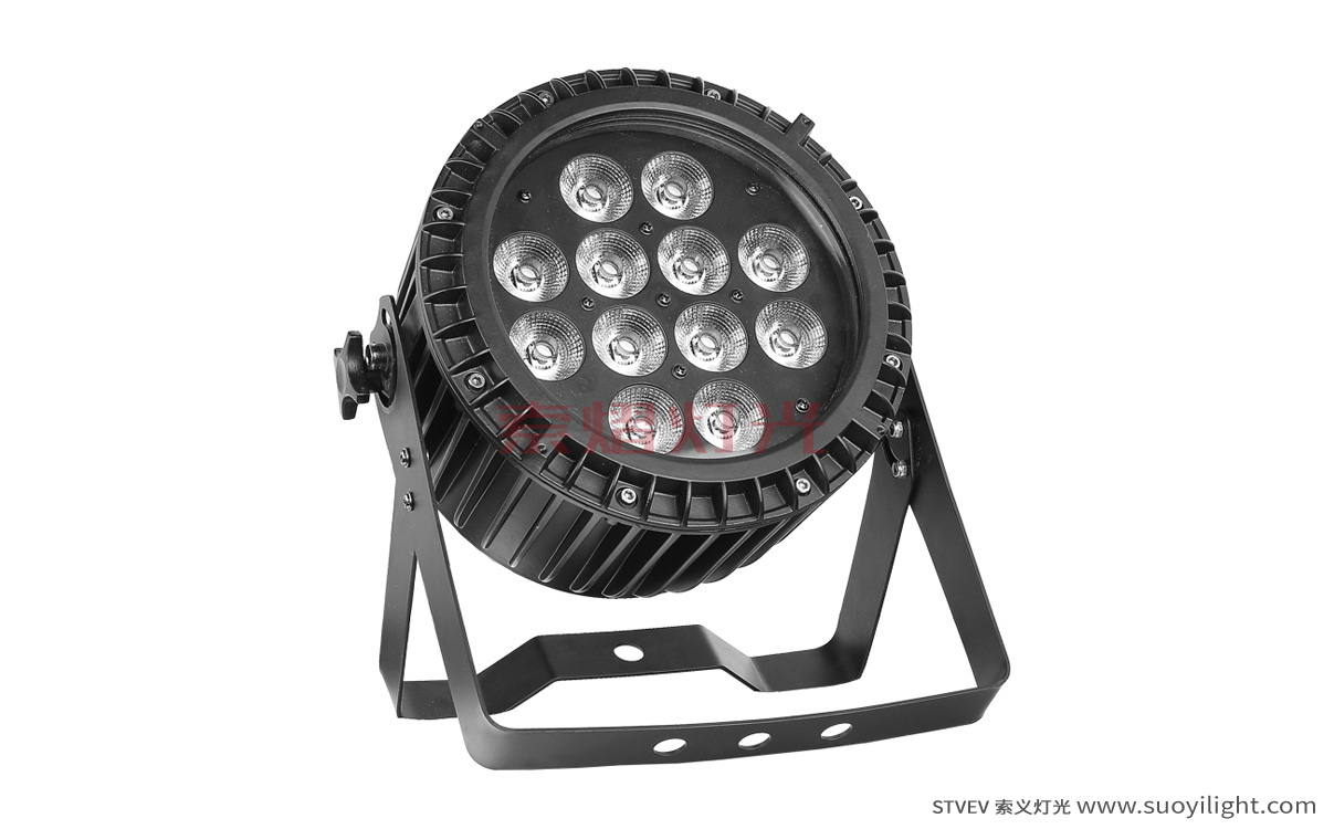 New-Zealand12*12W 6 in 1 Waterproof LED Par Light