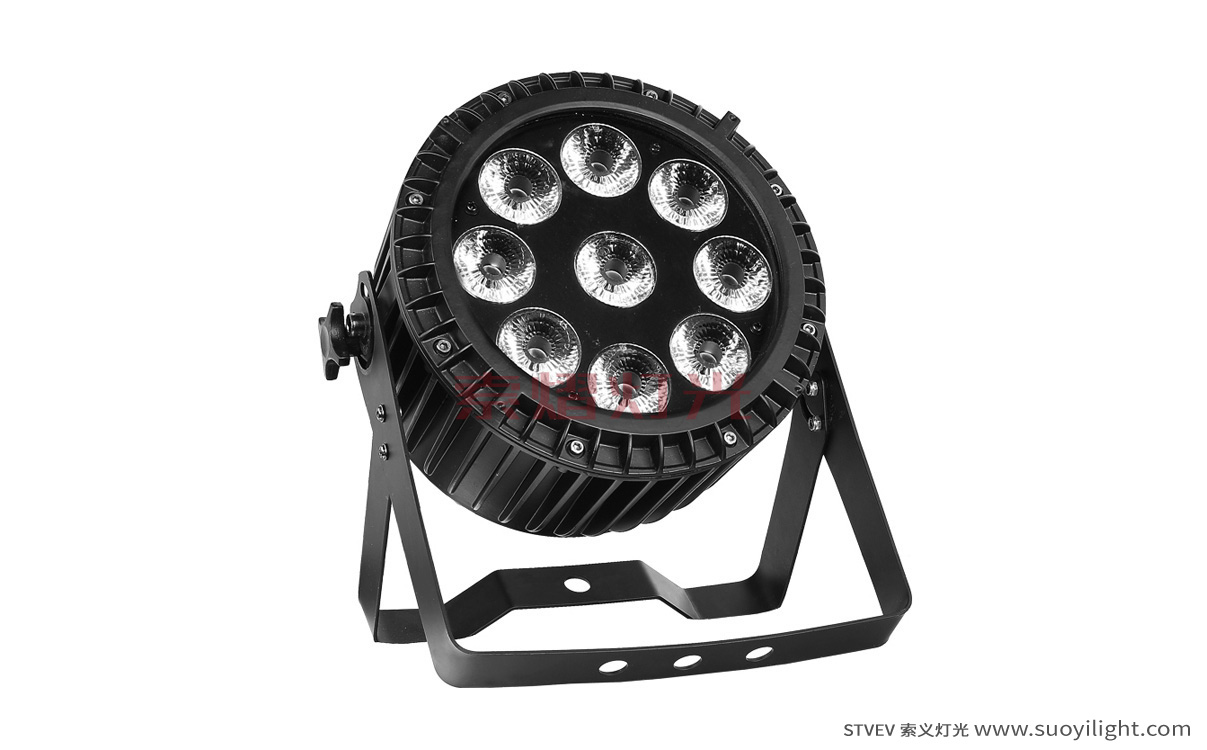 New-Zealand9*12W 4 in 1 Waterproof LED Par Light