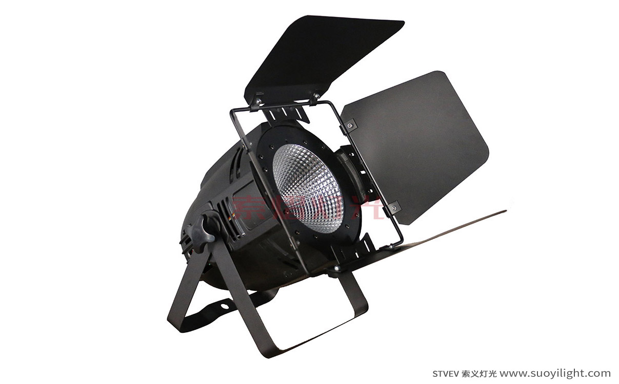 New-Zealand100W LED COB Par Light
