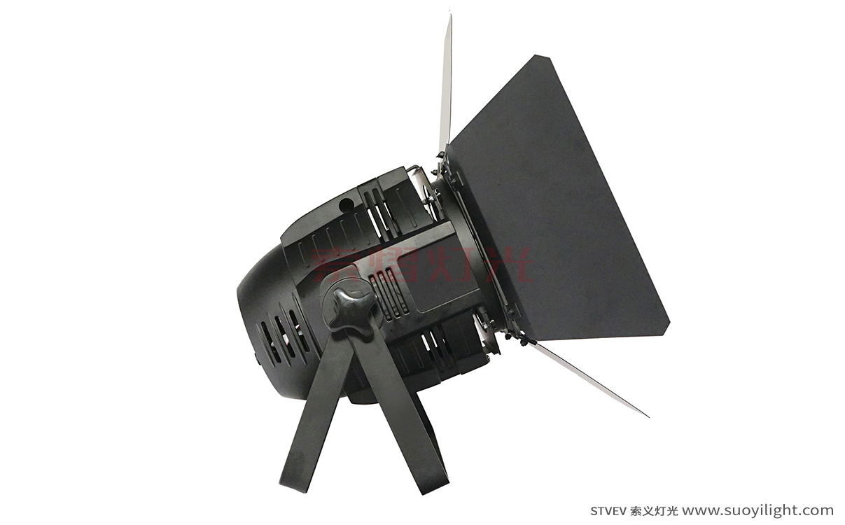 New-Zealand100W LED COB Par Light
