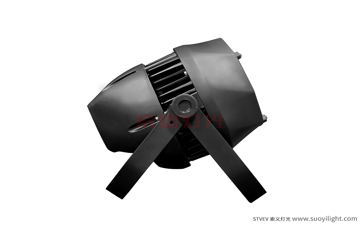 New-Zealand200W Waterproof COB Par Light
