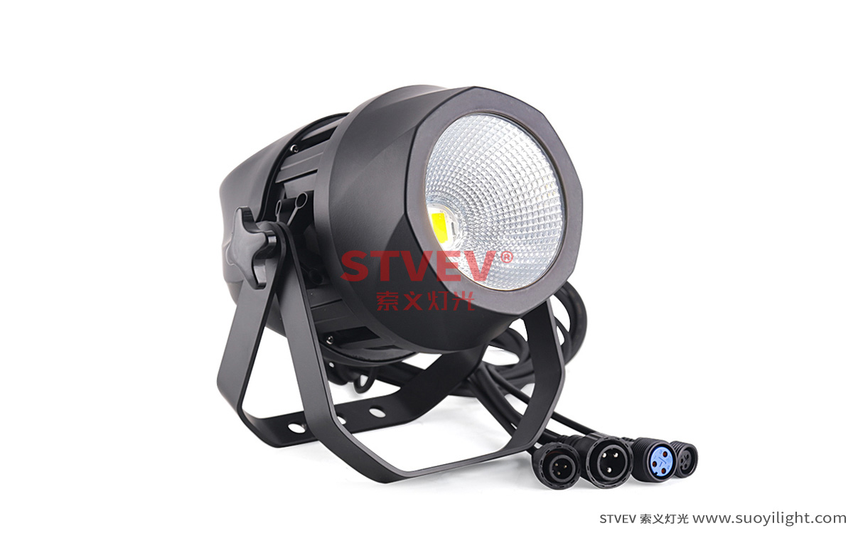 New-Zealand200W Waterproof COB Par Light