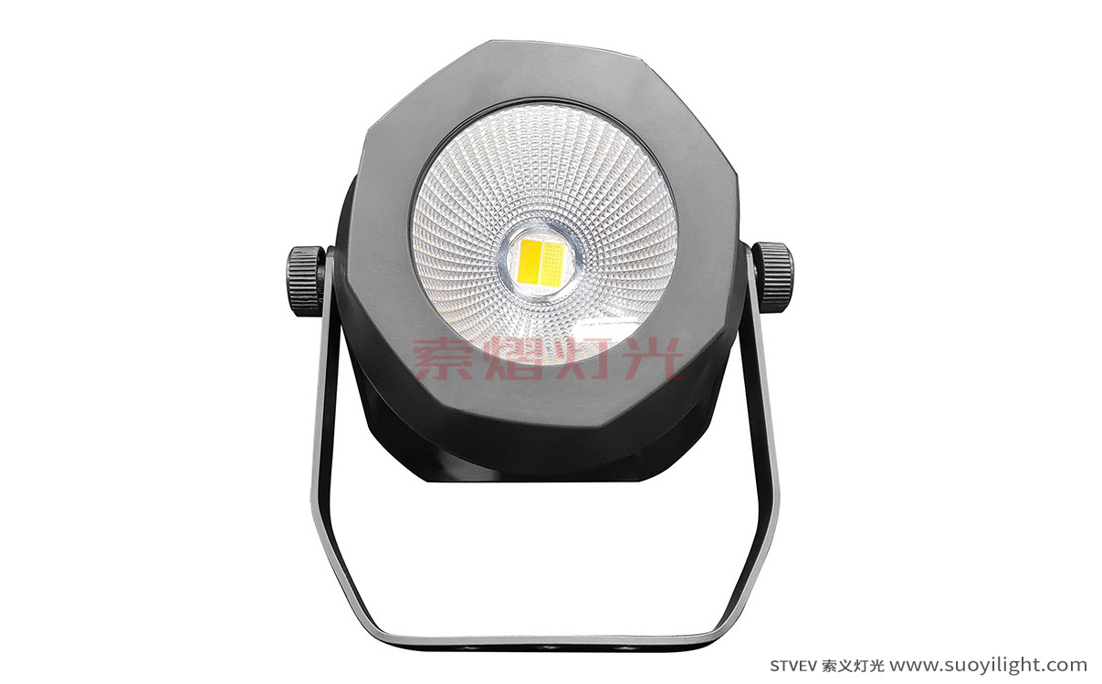 New-Zealand200W Waterproof COB Par Light